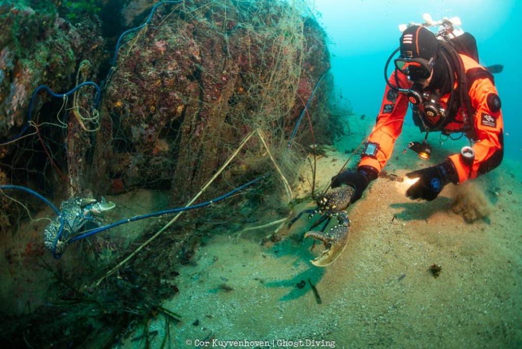 Hyundai y Healthy Seas 20237 Motor16