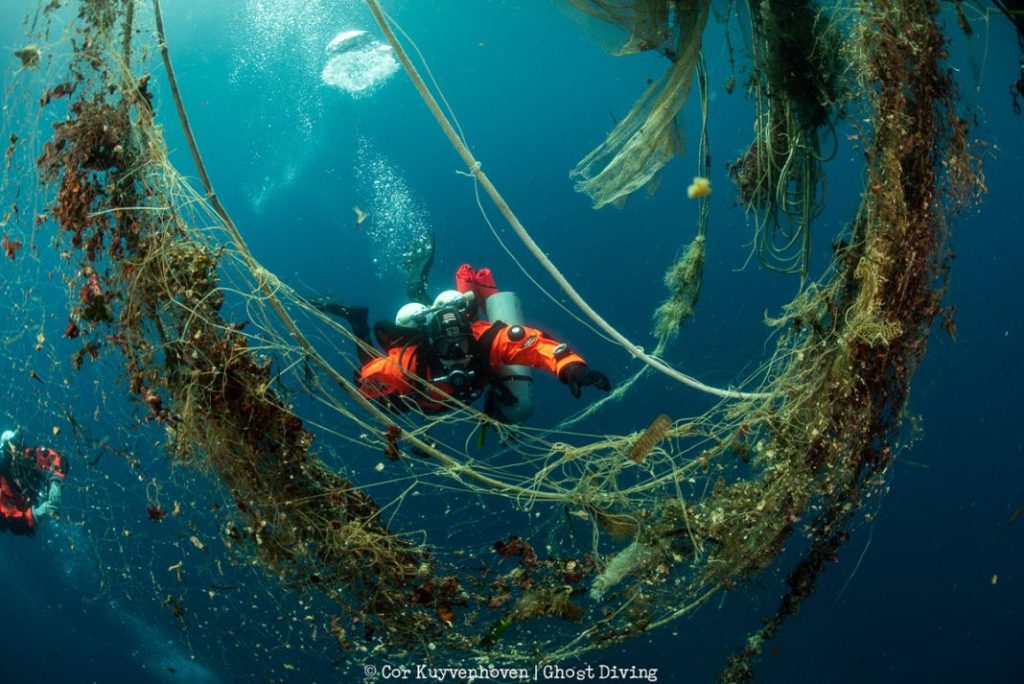 Hyundai y Healthy Seas 20238 Motor16