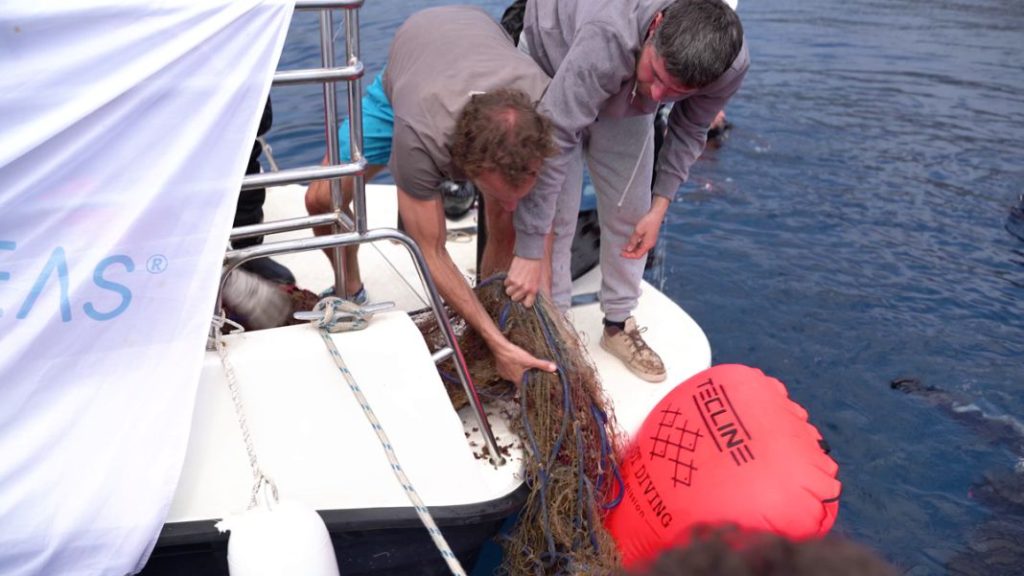 Hyundai y Healthy Seas 20239 1 Motor16