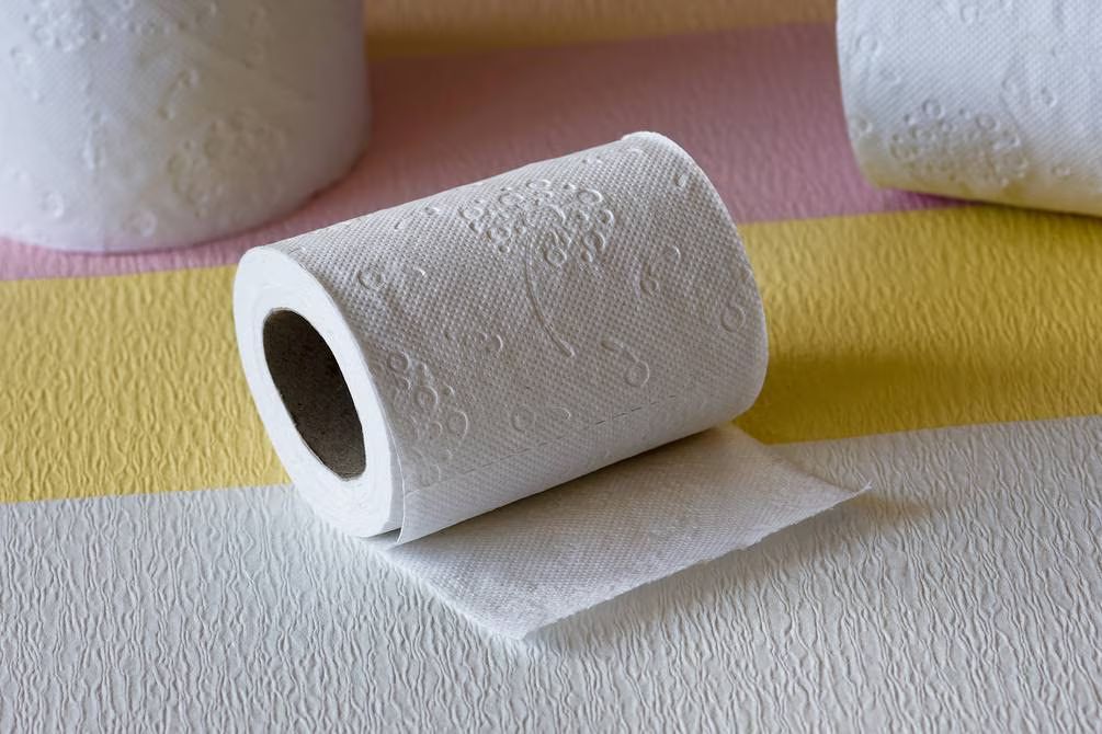 Así funciona el WC de tu camper o autocaravana 125 Motor16 papel