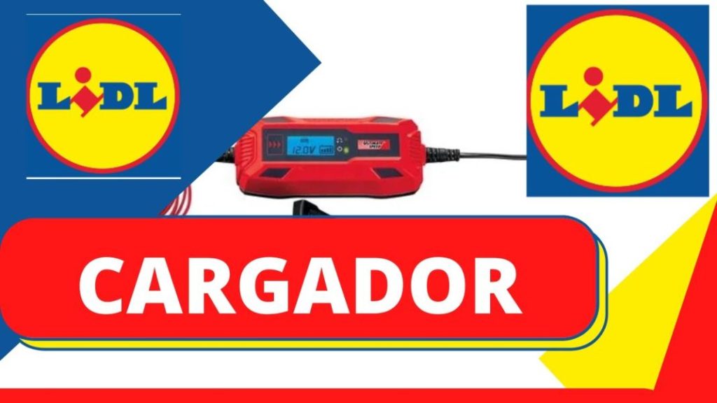 Menos de 20 euros cuesta el accesorio para tu coche que más se vende en LIDL 109 Motor16 producto