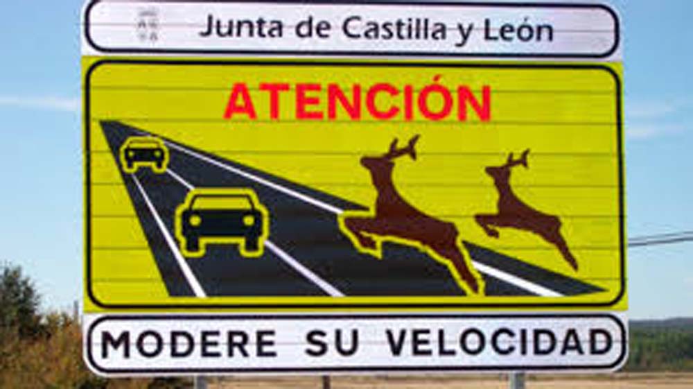 animales sueltos