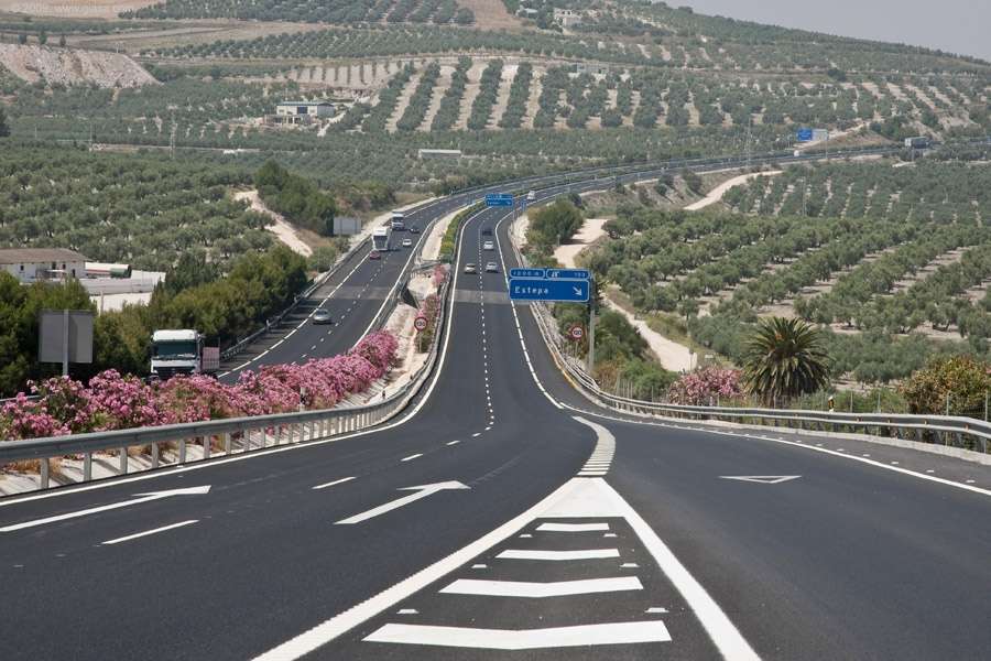 La función que esconden las adelfas que hay plantadas en las autovías españolas 32 Motor16 adelfa Motor16
