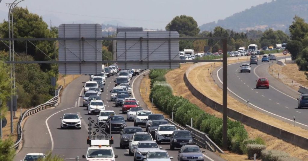 La función oculta de las adelfas en las autovías 149 Motor16 efecto