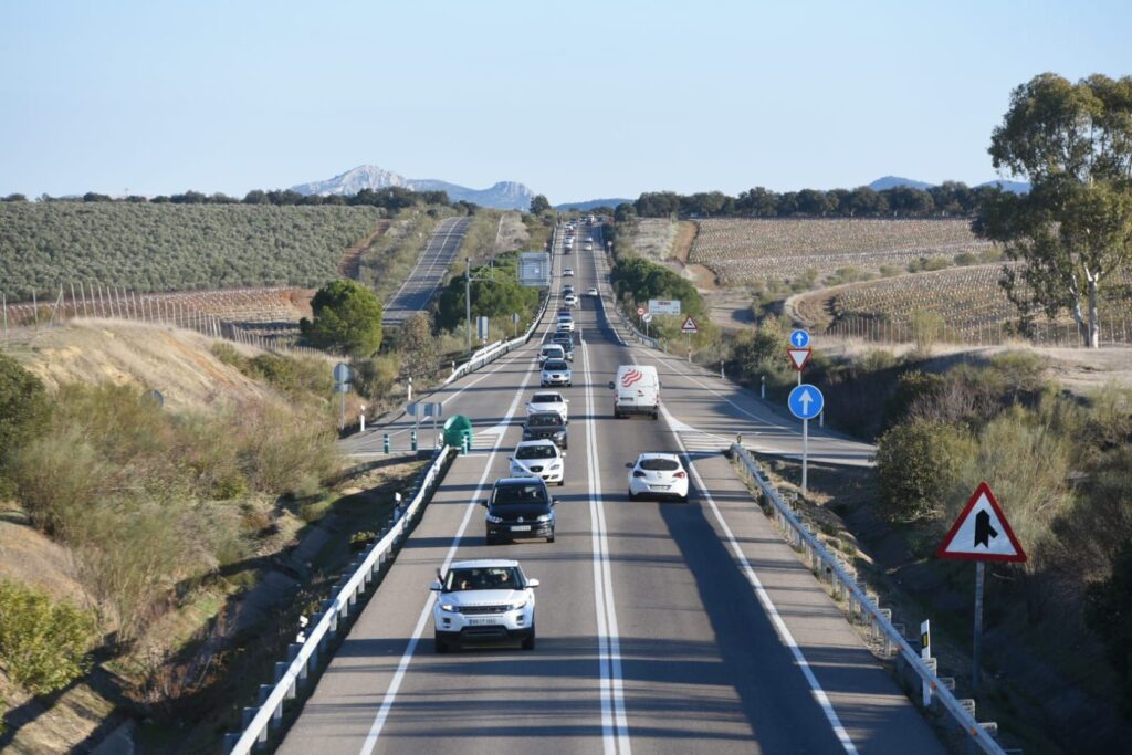 La función oculta de las adelfas en las autovías 148 Motor16 ventajas