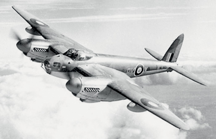 mosquito