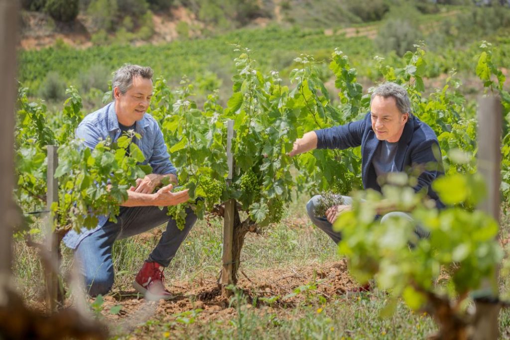 Lexus recorre España junto a los chefs Sergio y Javier Torres en busca de las mejores recetas 13 Motor16 LEXUS Y LOS HERMANOS TORRES JUNTOS EN LA TERCERA EDICION ‘RECETAS CON RECORRIDO 15 Motor16