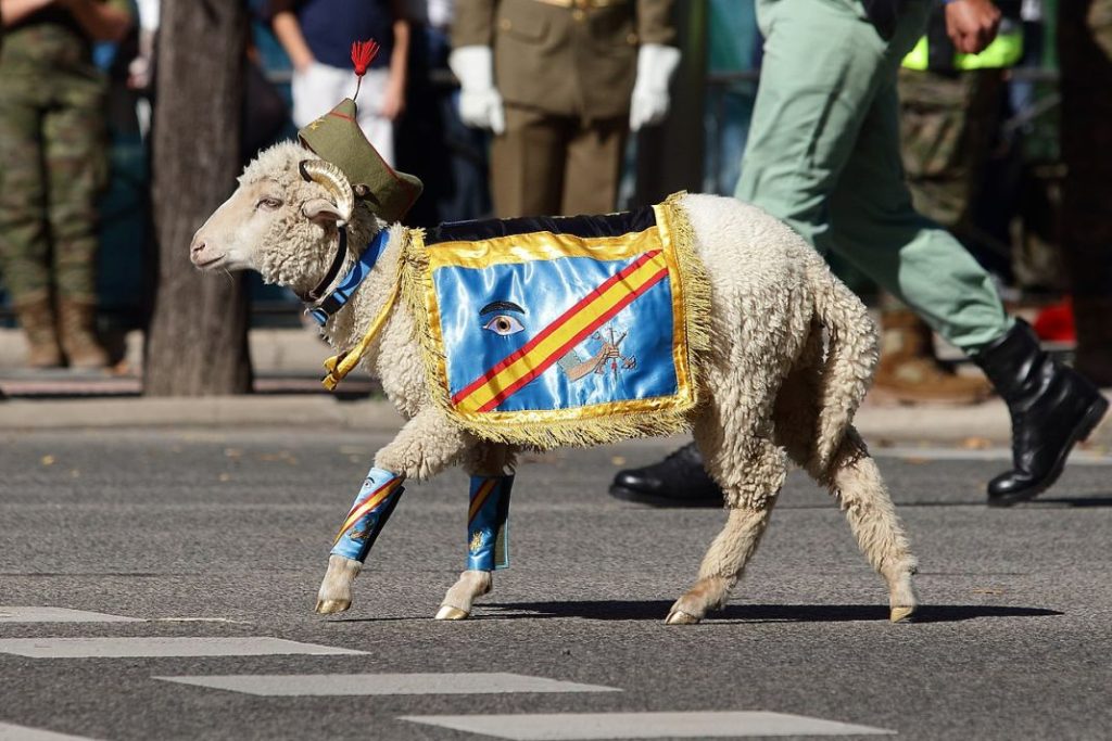 Desfile terrestre del 12 de octubre 2022 63 Motor16