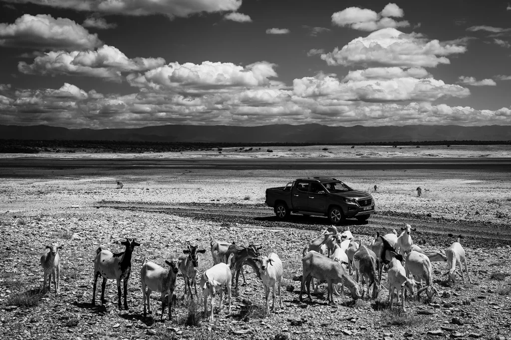 LAURENT BAHEUX 3 Motor16