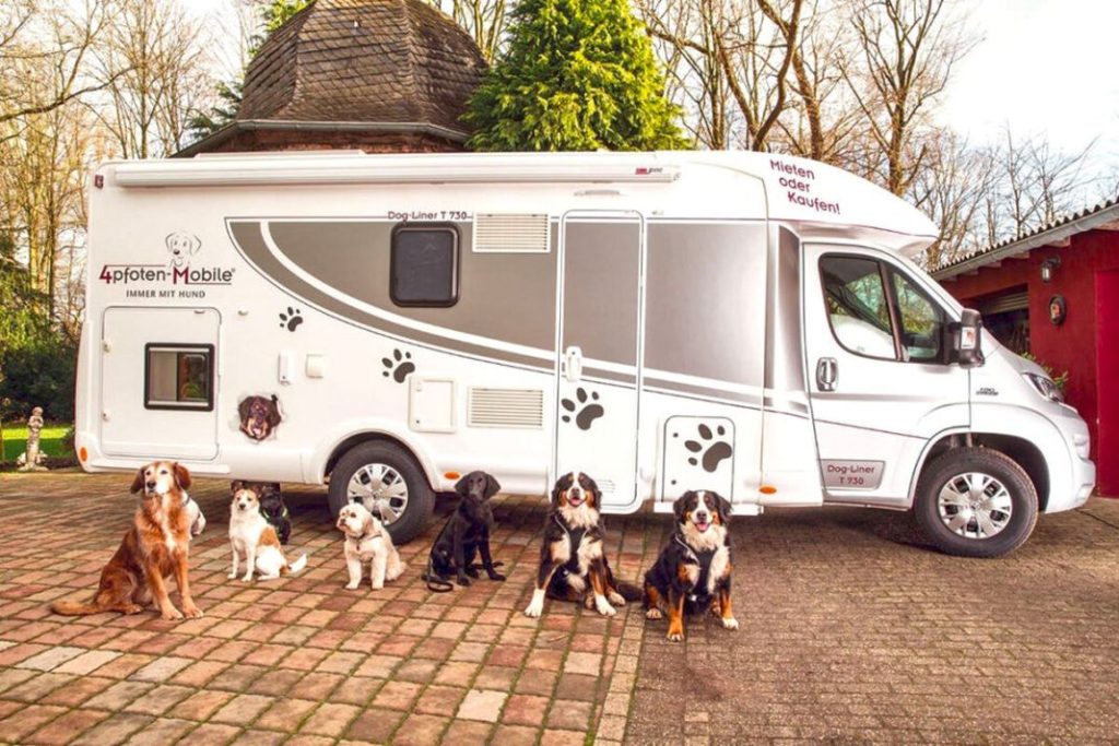 La Ley de Protección Animal y la multa que las autoridades te pueden poner por dejar a tu perro en una caravana 21 Motor16 caravana y perro