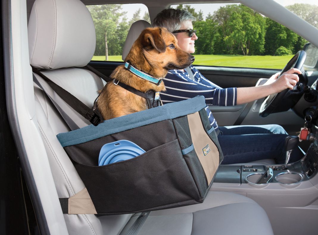 Así es como la DGT quiere que lleves a tu perro en el coche 18 Motor16 ¿Qué sanciones se aplican a los que transportan mal a su mascota?