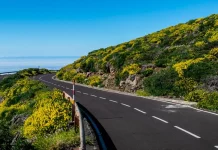 Esta es la carretera más larga del mundo. Recorrerla implica cambiar el aceite y las ruedas a tu coche
