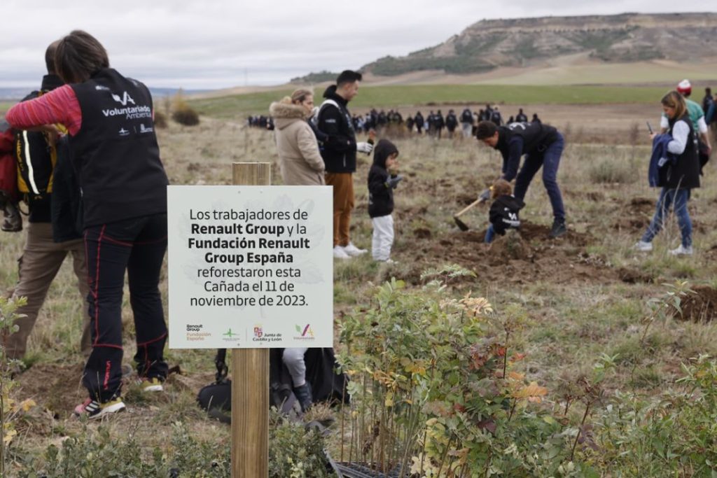 plantacion arboles renault tercer bosque1 Motor16