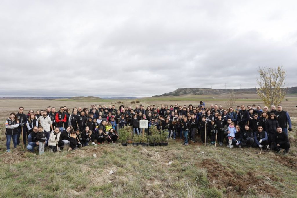 plantacion arboles renault tercer bosque2 Motor16