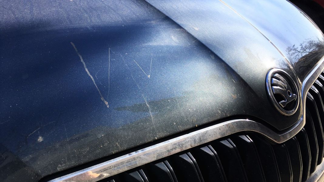 Descubre cómo eliminar los rayones de tu coche y moto con productos caseros 1 Motor16 1366 2000 Motor16