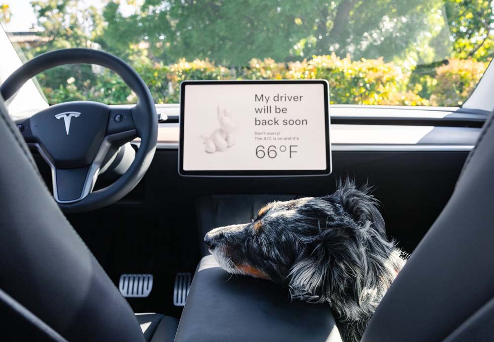 El Tesla Model Y se apunta a las rebajas de enero y reduce su precio 2 Motor16 Tesla Model Y