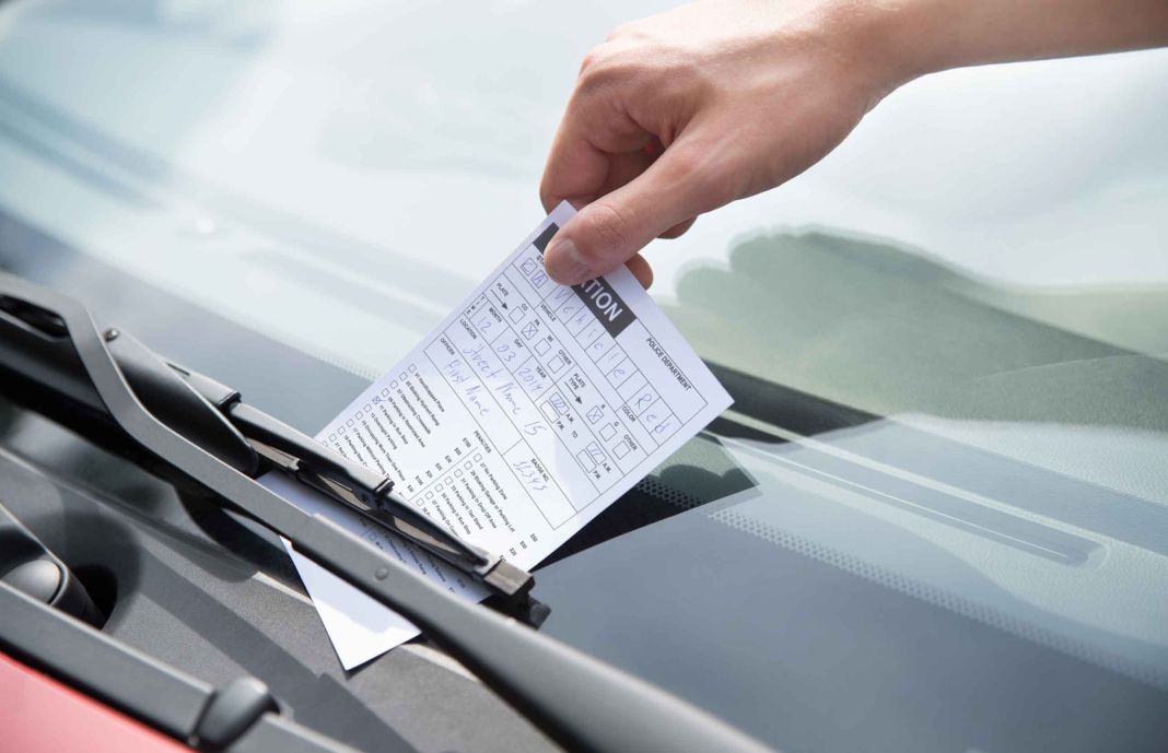 EL RECURSO EN MARCHA: PLAZOS Y SEGUIMIENTO