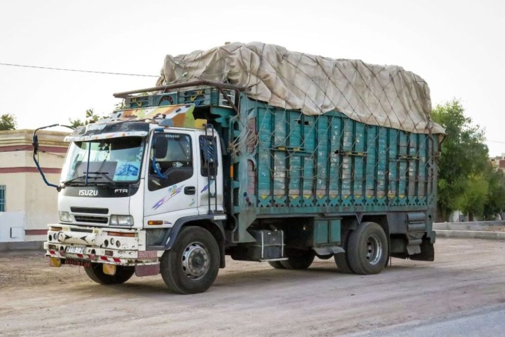 Formación vial reglada: La UE debate unificarla mientras España admite conductores magrebíes sin formación 6 Motor16 sinfronteras marruecos 385 08 Motor16