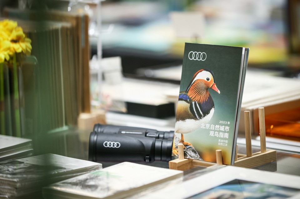 Audi: cómo ser ecológico más allá de los coches 3 Motor16 Audi Proteccion de la biodiversidad 1 960x639 1 Motor16