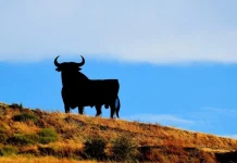 La historia que hay detrás del toro que inundaba las carreteras en España