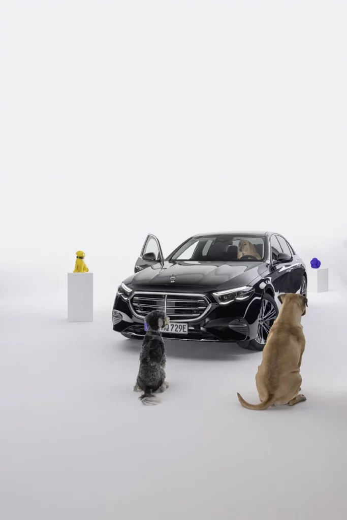 La marca que entiende -y hace caso- a los ladridos de tu perro 12 Motor16 MBUX BARK ASSIST MERCEDES BENZ1 Motor16