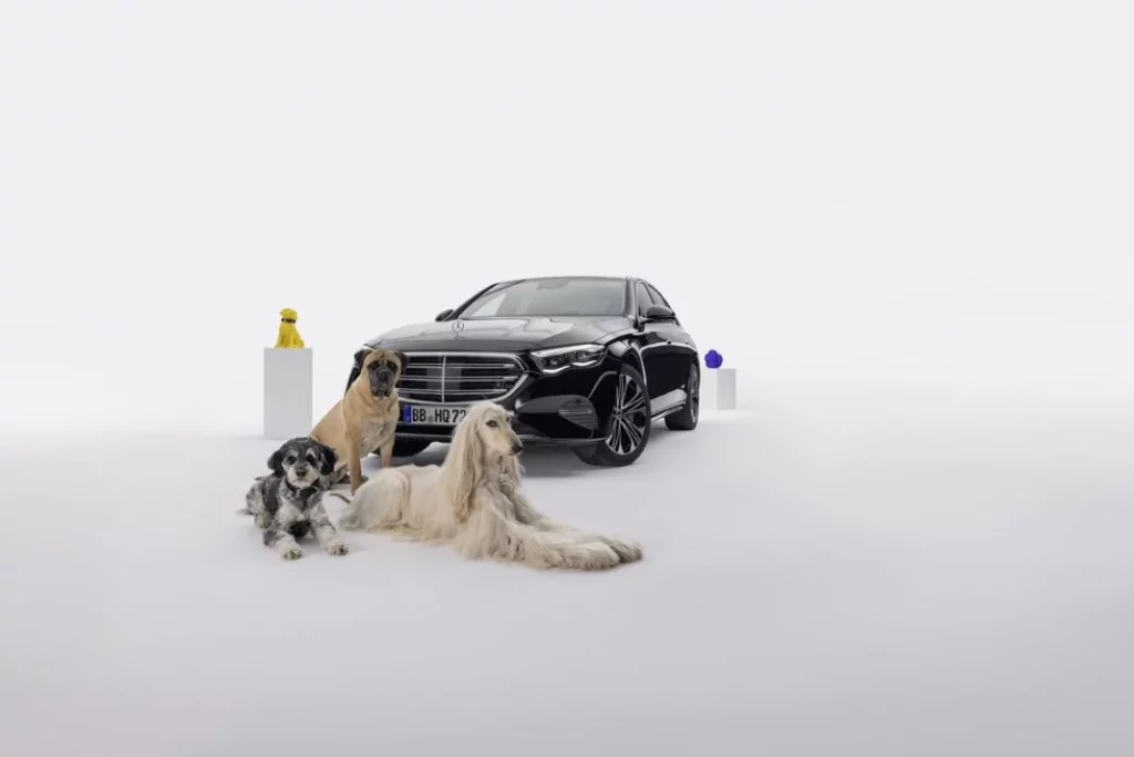 Los perros se sentirán como en casa viajando en los coches de Mercedes-Benz.