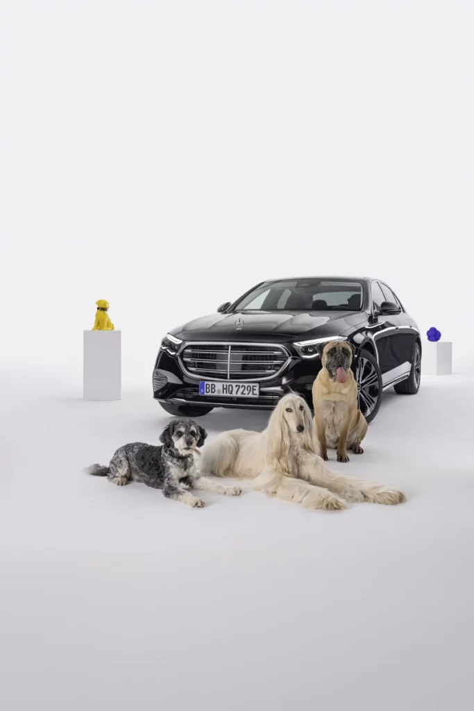 La marca que entiende -y hace caso- a los ladridos de tu perro 10 Motor16 MBUX BARK ASSIST MERCEDES BENZ3 Motor16