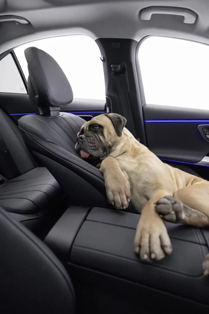La marca que entiende -y hace caso- a los ladridos de tu perro 8 Motor16 MBUX BARK ASSIST MERCEDES BENZ5 Motor16