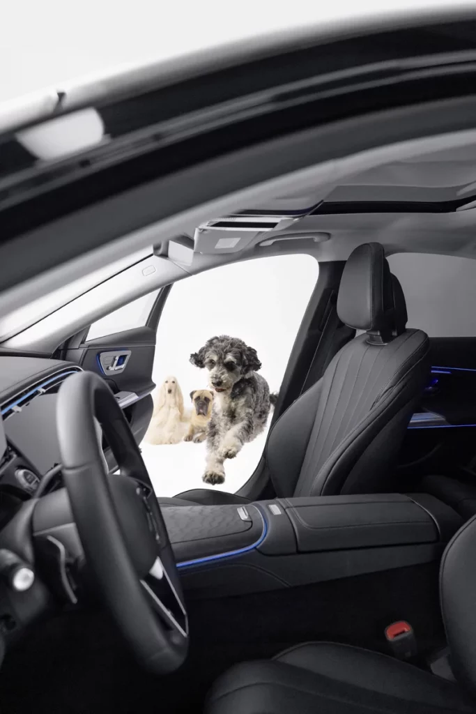 La marca que entiende -y hace caso- a los ladridos de tu perro 6 Motor16 MBUX BARK ASSIST MERCEDES BENZ7 Motor16