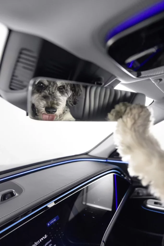 La marca que entiende -y hace caso- a los ladridos de tu perro 4 Motor16 MBUX BARK ASSIST MERCEDES BENZ9 Motor16