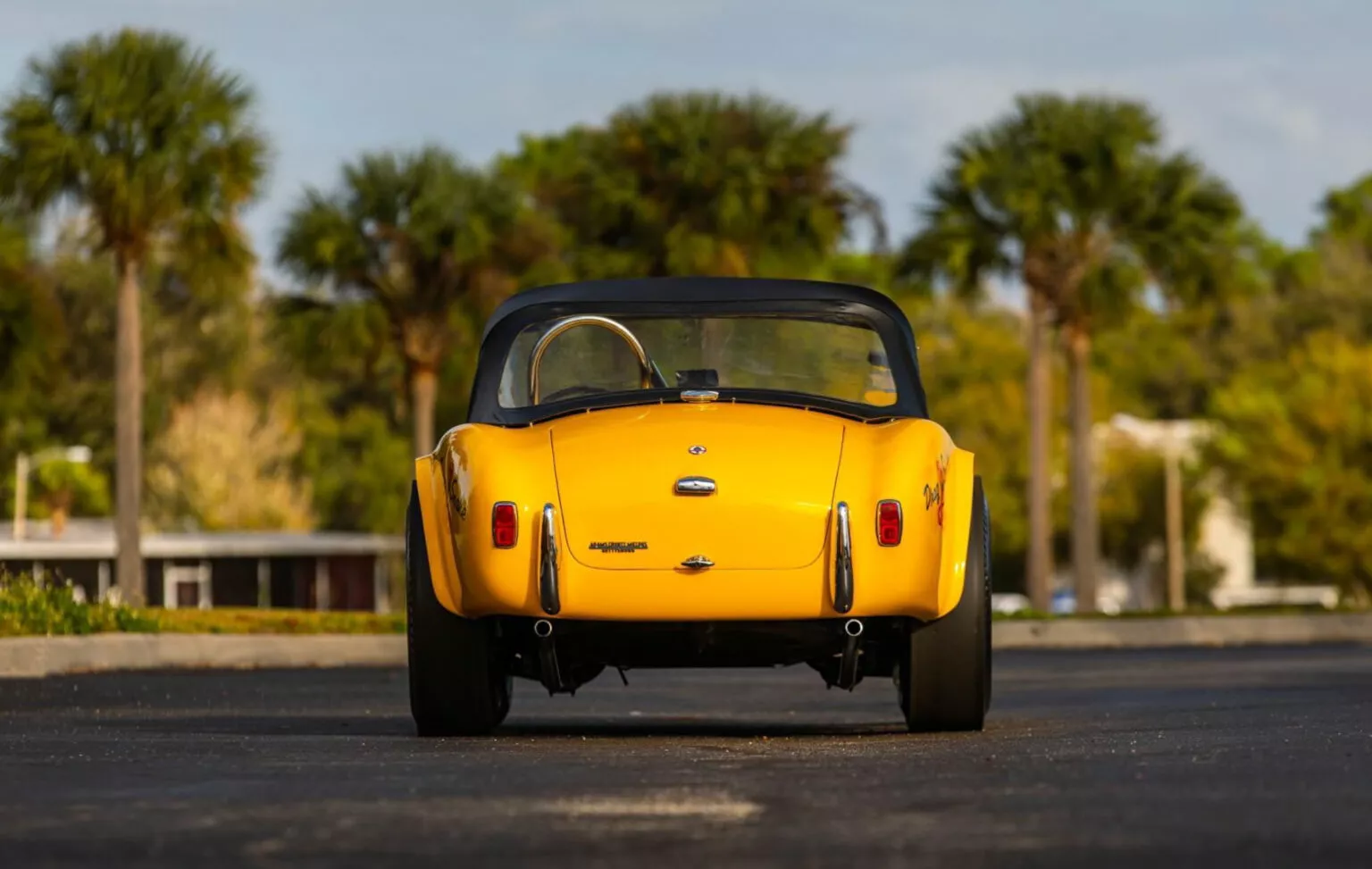 1965-Shelby-Cobra-Dragonsnake-Mecum-1.we