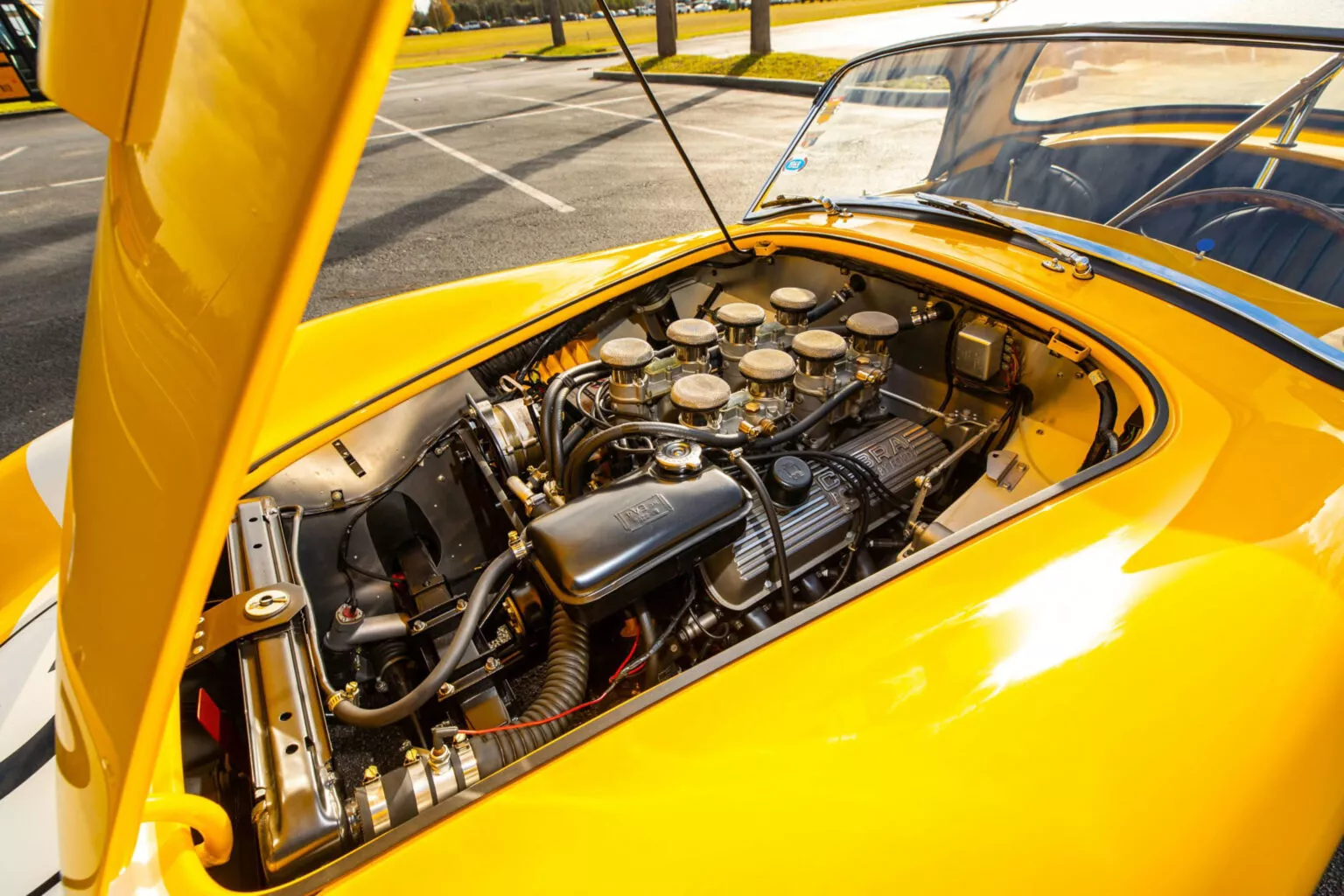 1965-Shelby-Cobra-Dragonsnake-Mecum-18.w