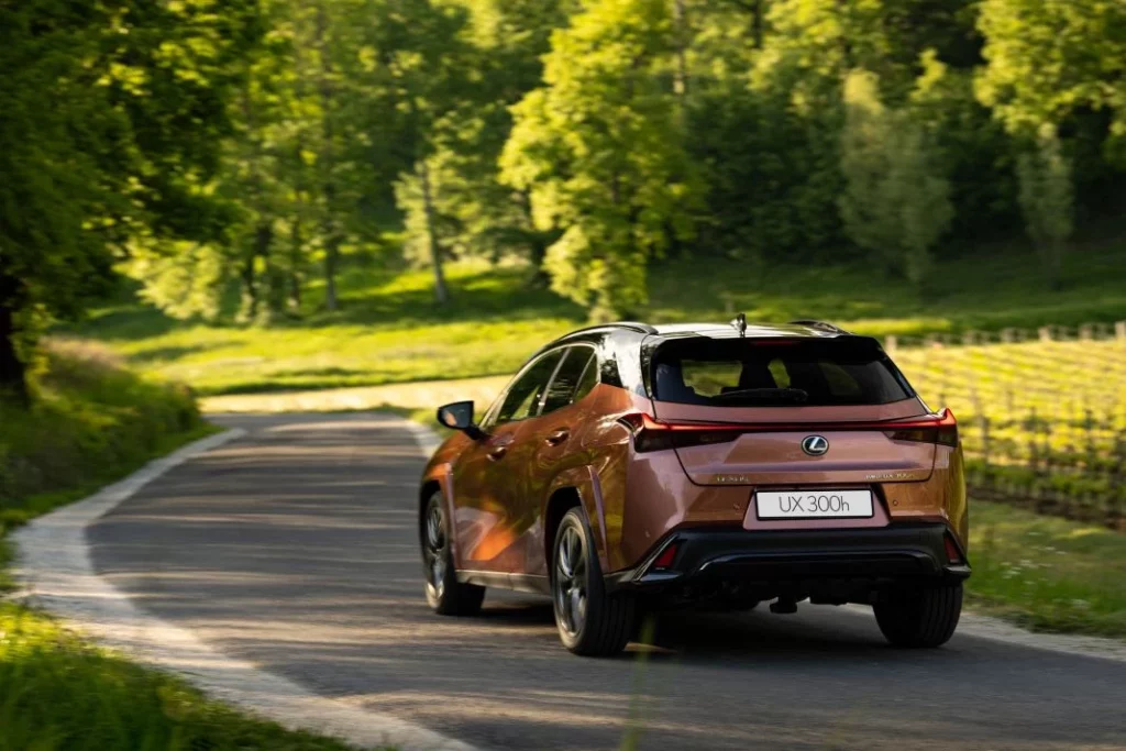 Lexus UX 300h 2025 (37)