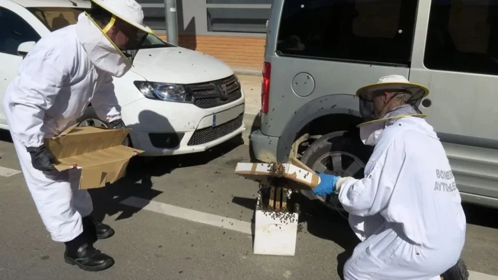 ¿Qué hacer si me encuentro con un enjambre como el del video?