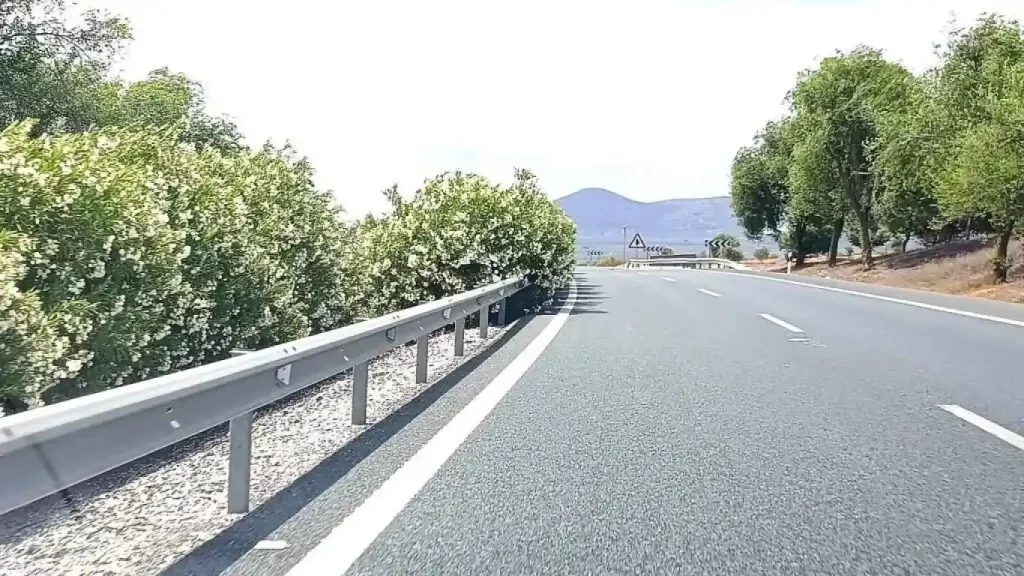 La función que esconden las adelfas que hay plantadas en las autovías españolas 31 Motor16 788681363 235518186 1706x960 Motor16