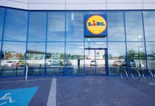 La ingeniosa solución de Lidl para que tu perro o gato no pase calor dentro del coche