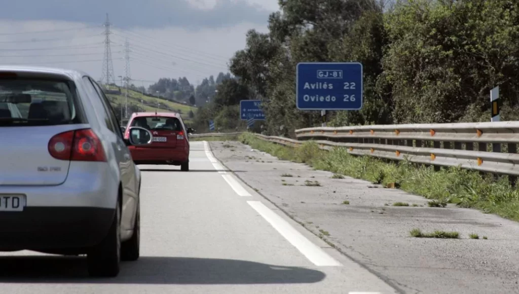 La función que esconden las adelfas que hay plantadas en las autovías españolas 29 Motor16 autopistas vegetacion Motor16