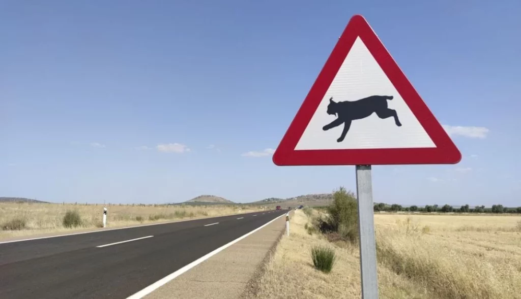 S-992: La DGT estrena señal de tráfico que prácticamente nadie conoce y nadie ha visto 170 Motor16 carretera