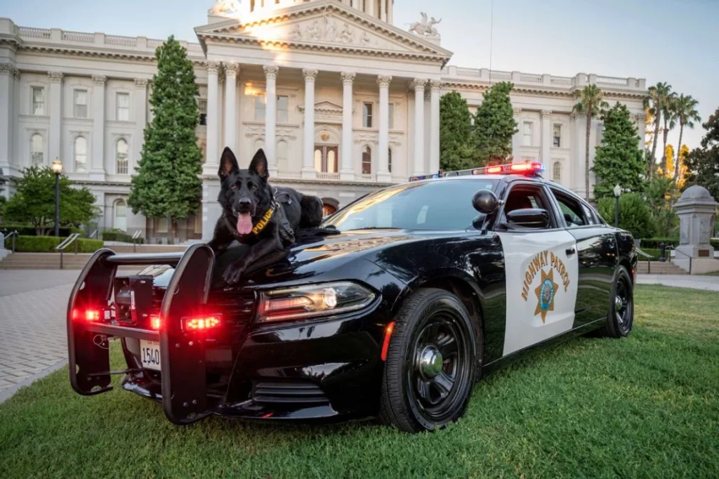 California concurso policia Motor16
