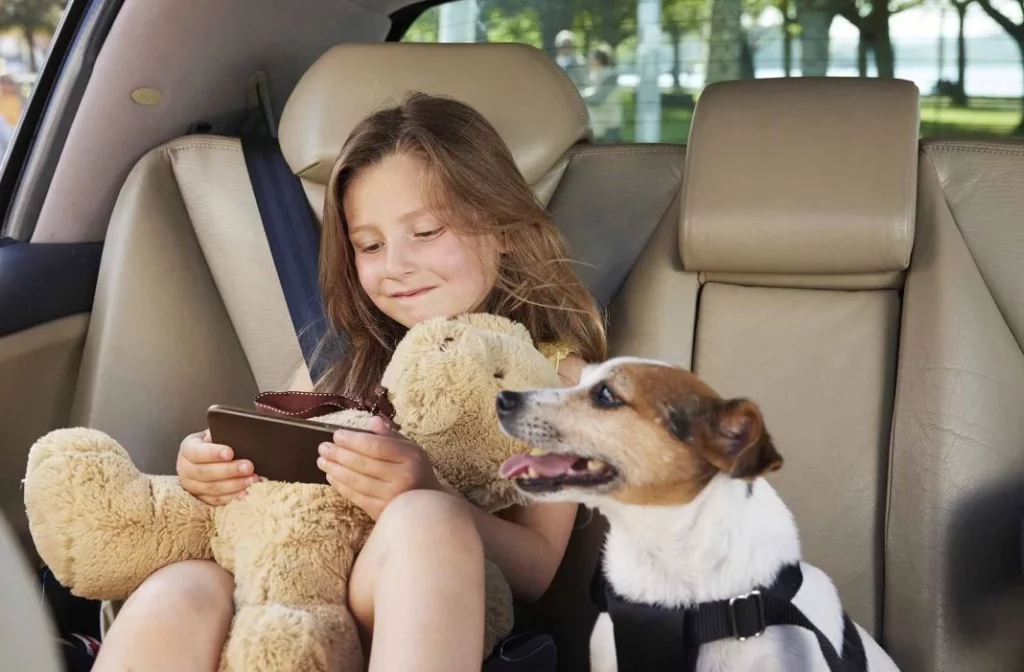 La ingeniosa solución de Lidl para que tu perro o gato no pase calor dentro del coche 5 Motor16 mascota en el coche