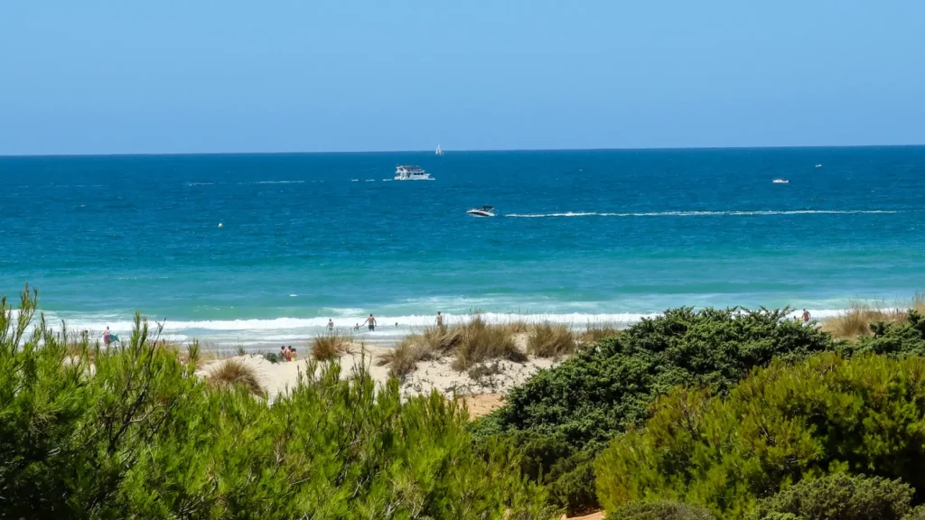 playa zona protegida multa Motor16