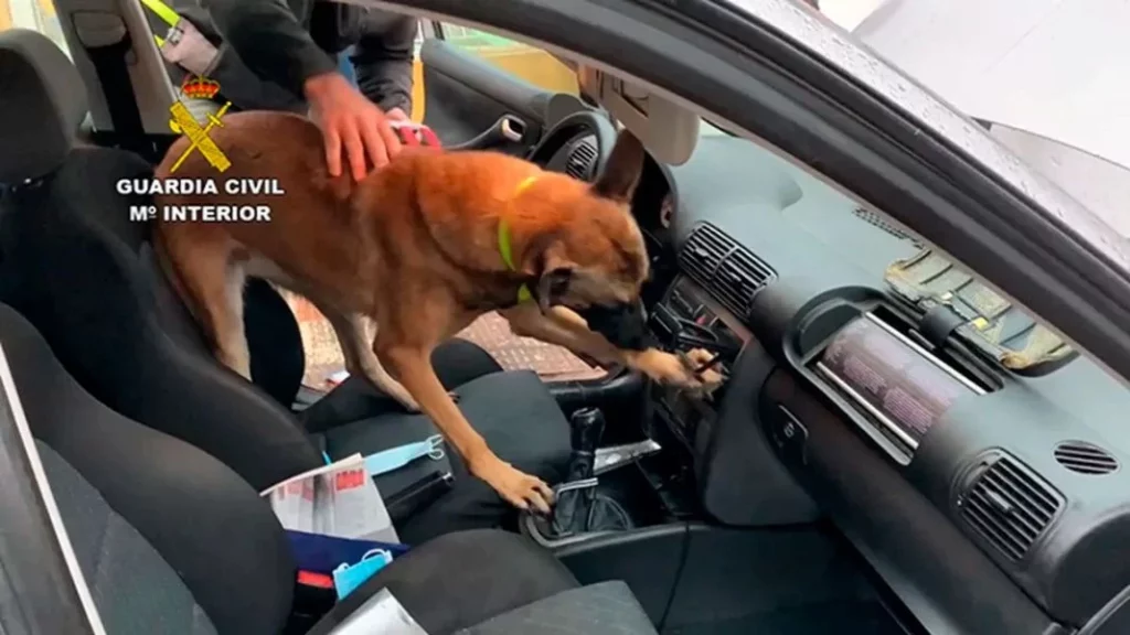 Operacion policial radio caleteo droga Motor16