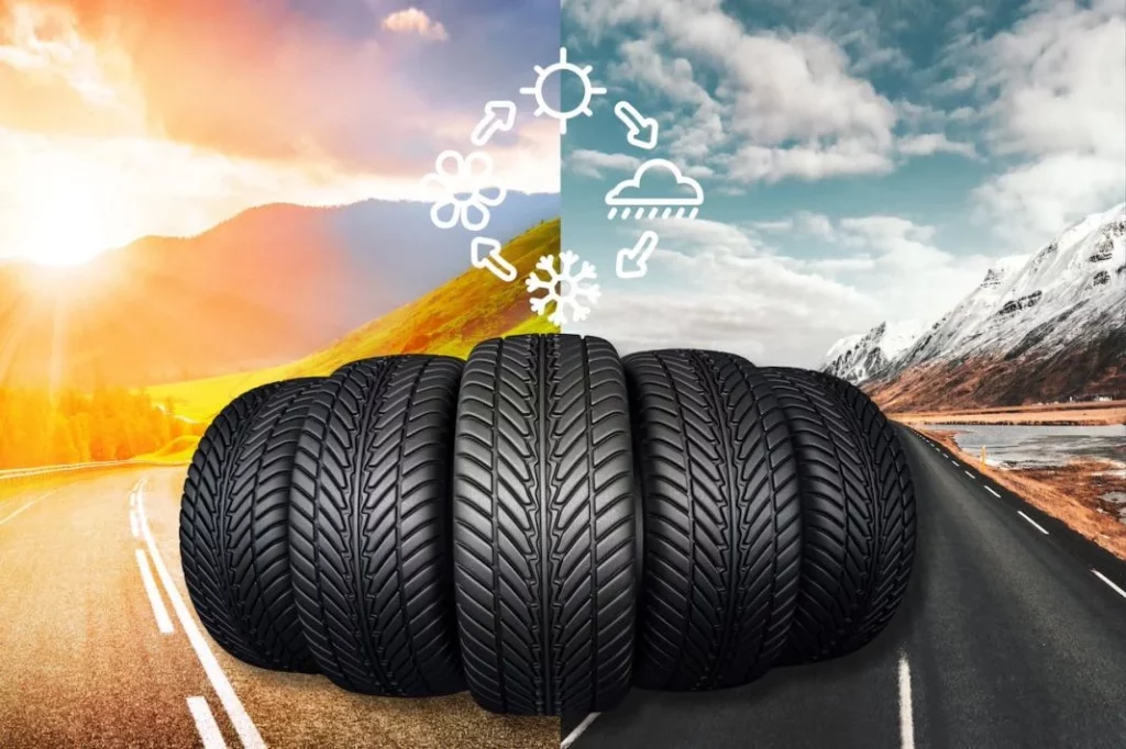 Neumaticos 4 estaciones Motor16