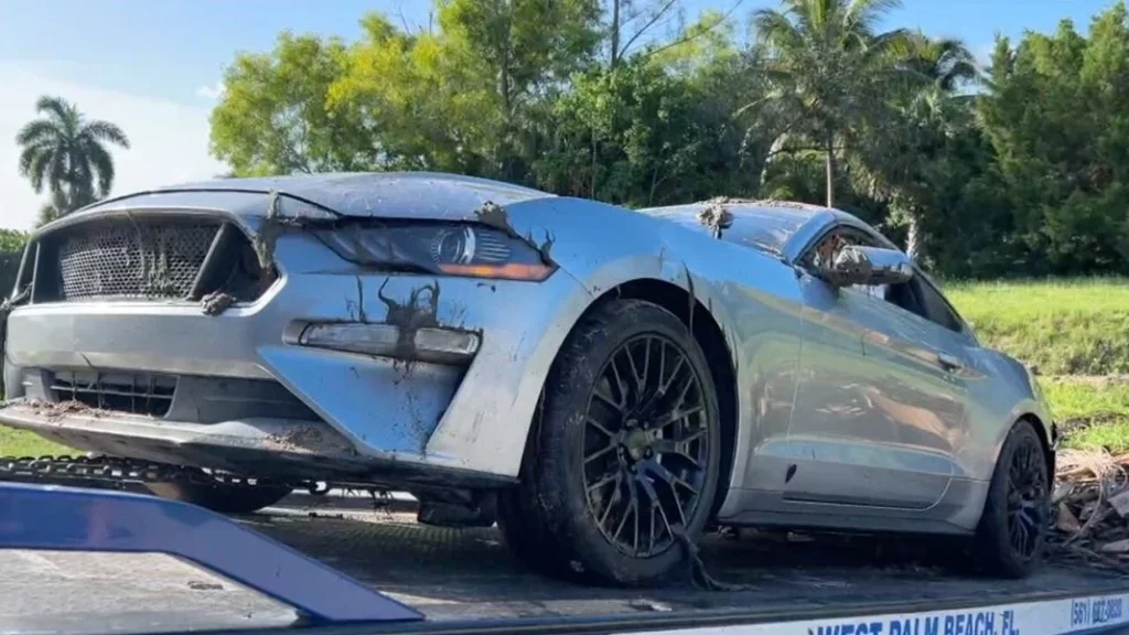 Si buscabas tu Ford Mustang, lo tiene la policía. Estaba aparcado en la puerta de Bob Esponja 2 Motor16 Teorías sobre lo que le sucedió al Ford Mustang