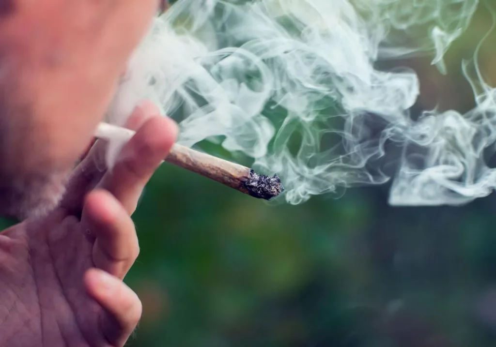 Drogas cannabis Motor16