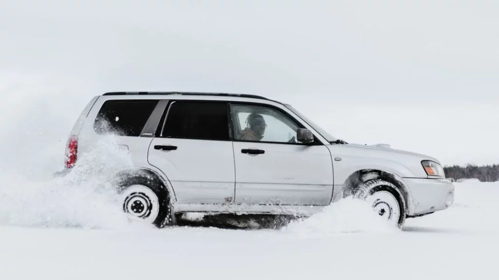nieve