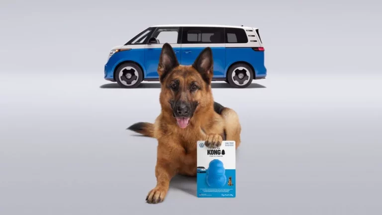 Si tienes perro, te conquistará la nueva propuesta de Volkswagen