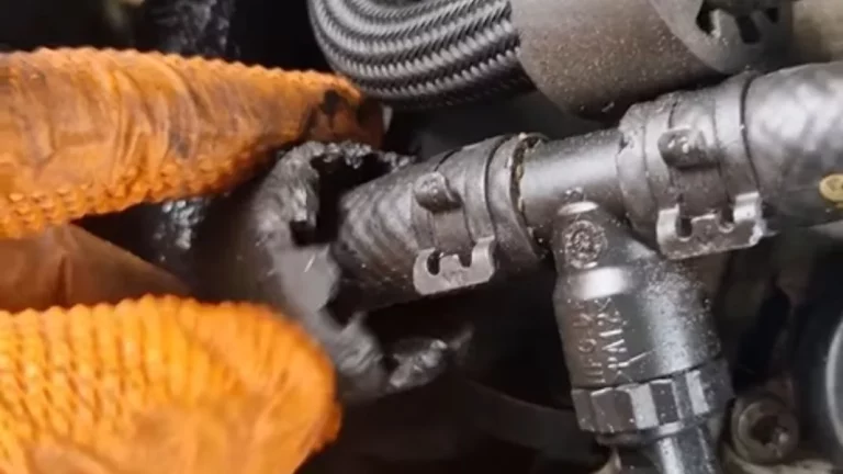 Los problemas que puede sufrir el motor de tu coche si tienes inquilinos