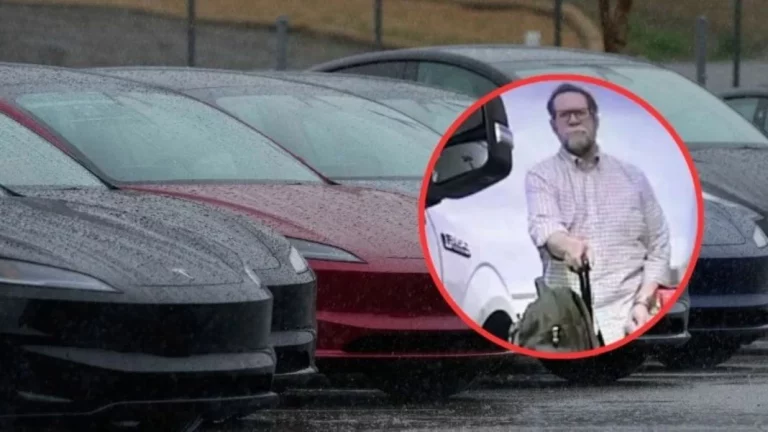 Jamás rayes un Tesla: La broma te puede salir por un millón de euros