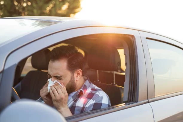 El antihistamínico que van a recetar a tu coche esta misma primavera